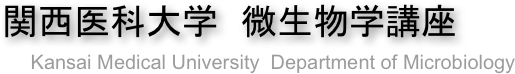      関西医科大学　微生物学講座

          Kansai Medical University  Department of Microbiology