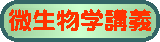 �������w�u�`