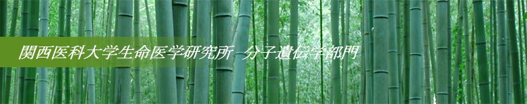 ֐ȑww@q`w